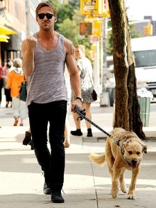 68468856804355750_NbxJ7tHb_c_large