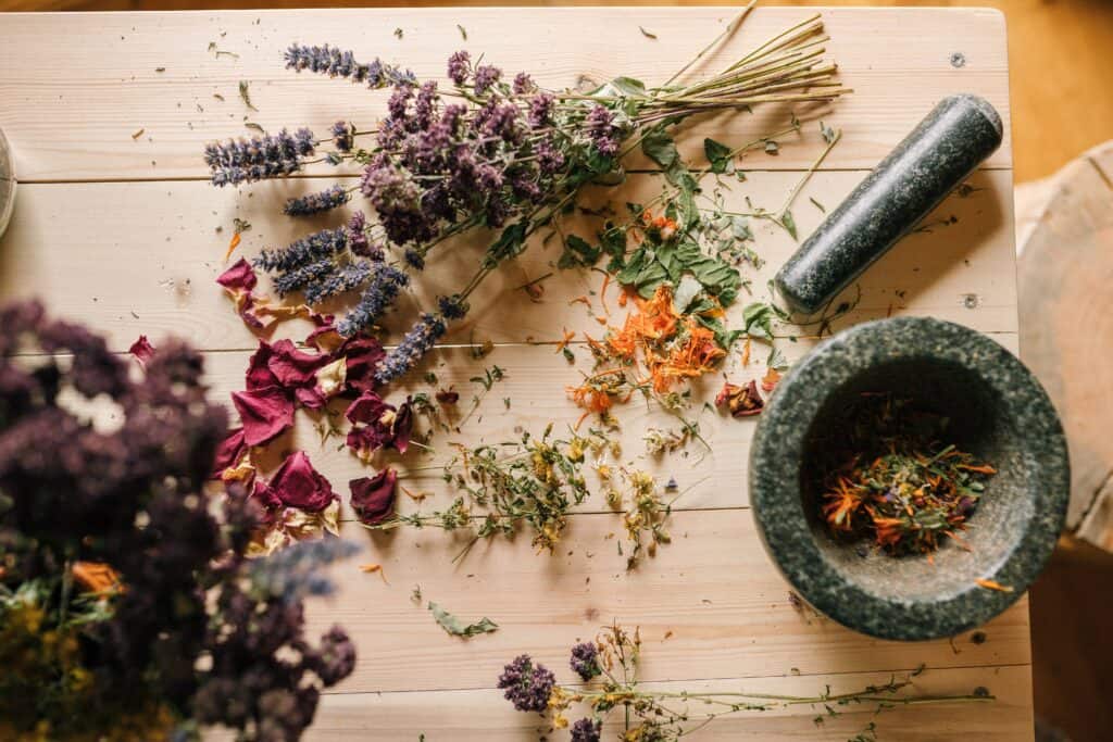 15 Native American Herbal Remedies