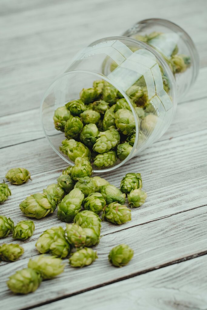 Herbs for Stress: Hops