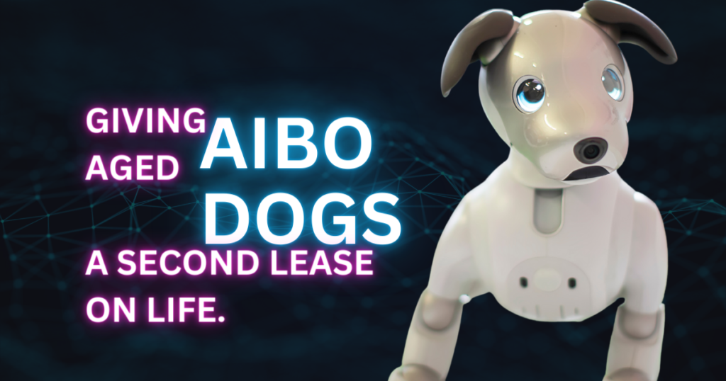 Robots Dogs: AIBO